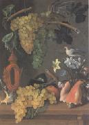 Still Life with Grapes (san 05) Juan de  Espinosa